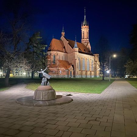 Cozy Center Apartment In Друскінінкай Екстер'єр фото